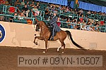 09yn-10507 proof