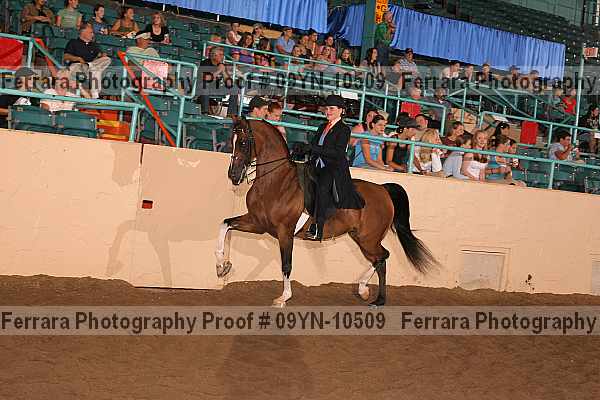 Proof 09yn-10509