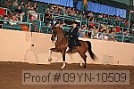 09yn-10509 proof