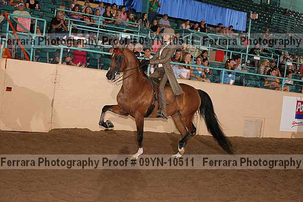 Proof 09yn-10511