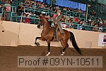 09yn-10511 proof