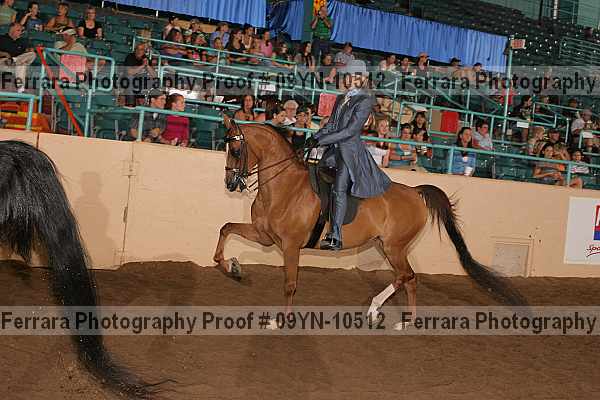 Proof 09yn-10512