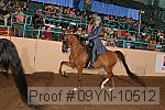 09yn-10512 proof