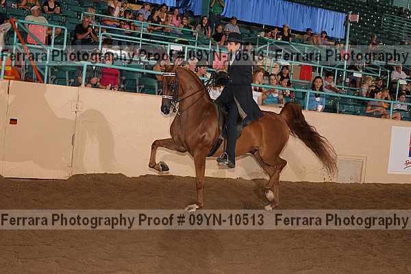 Proof 09yn-10513