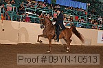 09yn-10513 proof