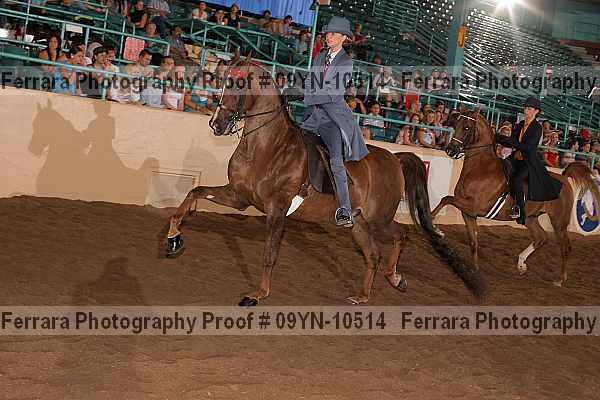 Proof 09yn-10514