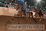 09yn-10514 proof