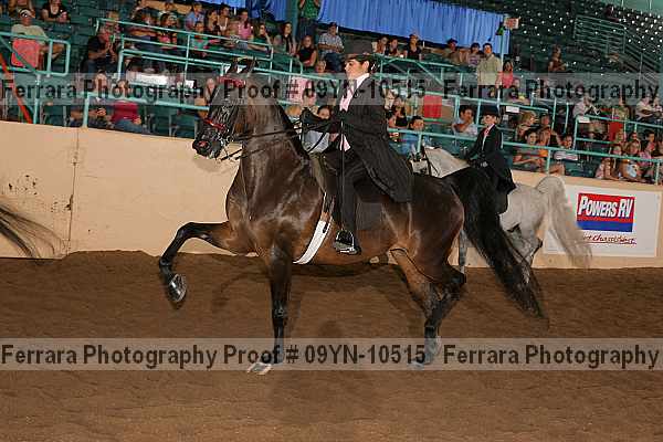 Proof 09yn-10515