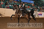 09yn-10515 proof