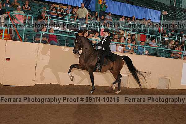 Proof 09yn-10516