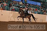 09yn-10516 proof