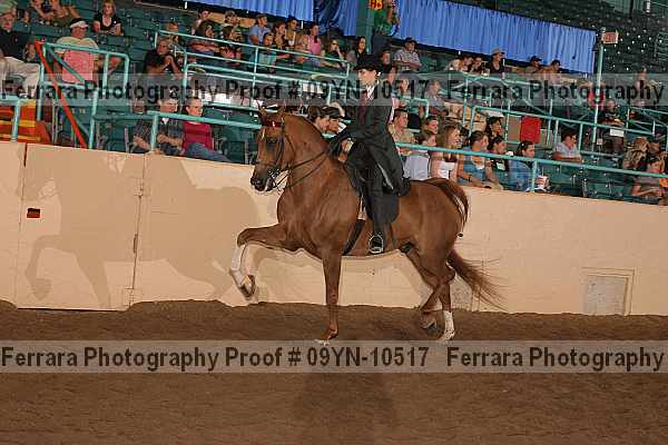 Proof 09yn-10517