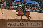 09yn-10517 proof
