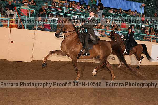 Proof 09yn-10518