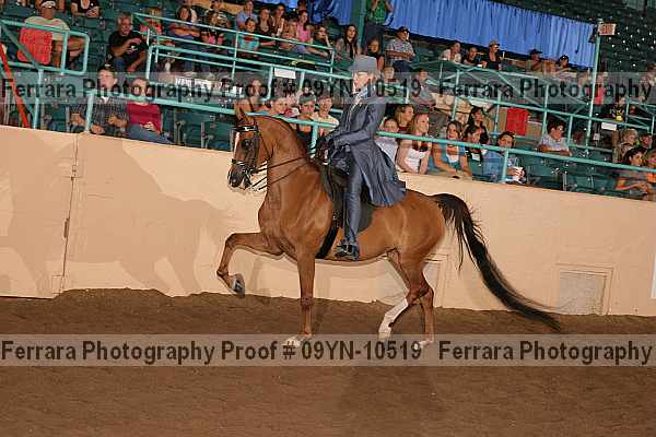 Proof 09yn-10519