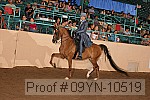 09yn-10519 proof