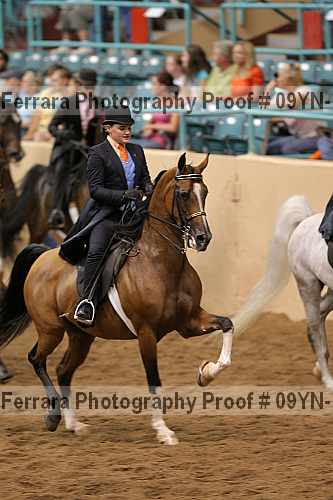 Proof 09yn-10522