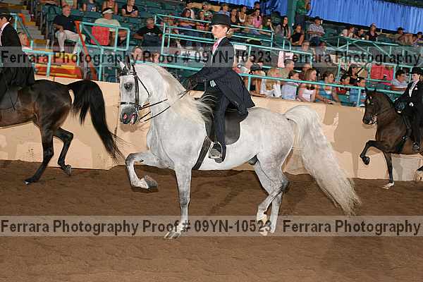 Proof 09yn-10523