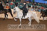 09yn-10523 proof