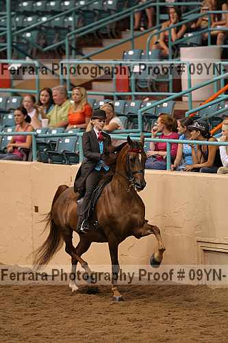 Proof 09yn-10526