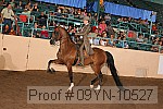09yn-10527 proof