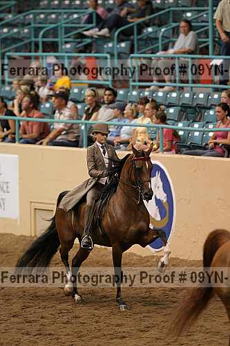 Proof 09yn-10528