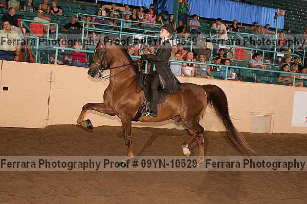 Proof 09yn-10529