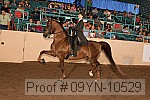 09yn-10529 proof