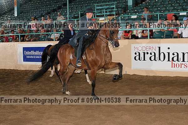 Proof 09yn-10538