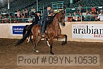 09yn-10538 proof