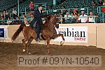 09yn-10540 proof