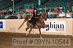 09yn-10544 proof