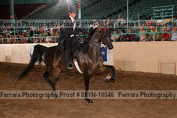 Proof 09yn-10546