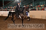 09yn-10546 proof