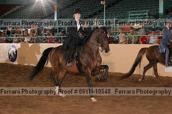 Proof 09yn-10548