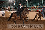 09yn-10548 proof