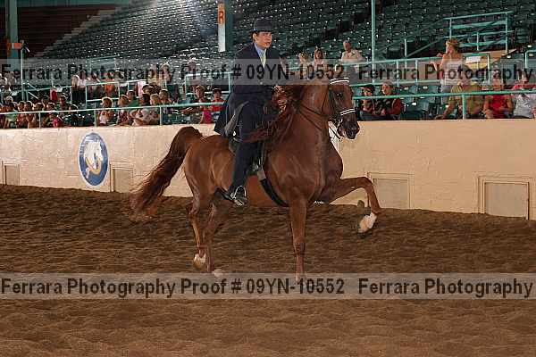 Proof 09yn-10552