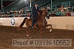 09yn-10552 proof