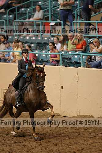 Proof 09yn-10553