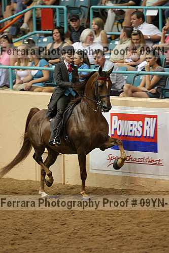 Proof 09yn-10557