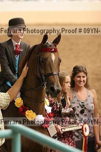 Proof 09yn-10565