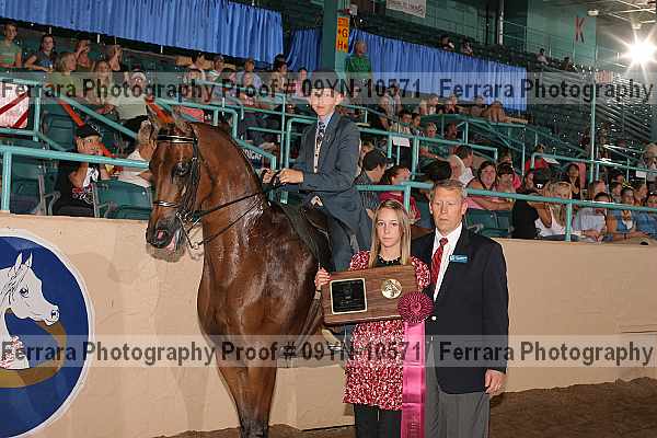 Proof 09yn-10571