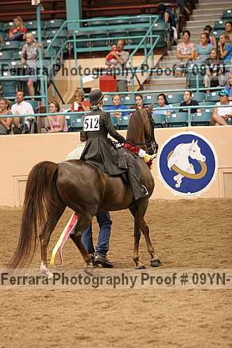 Proof 09yn-10575