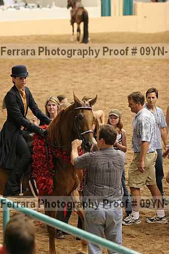 Proof 09yn-10579