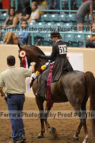 Proof 09yn-10584