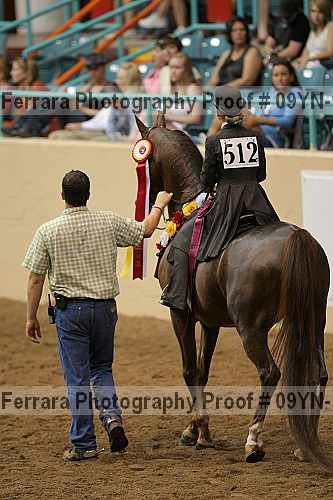 Proof 09yn-10587