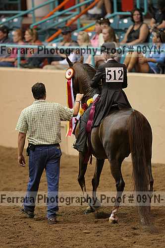 Proof 09yn-10588