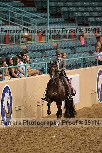Proof 09yn-10593
