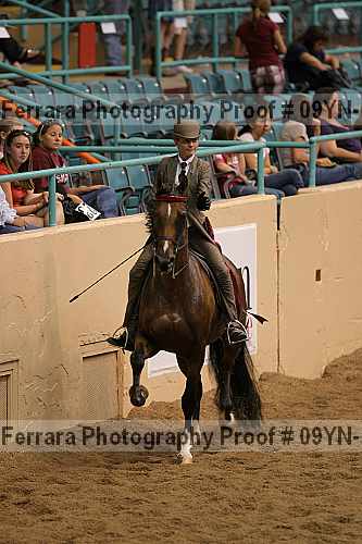 Proof 09yn-10595