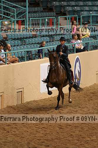 Proof 09yn-10597